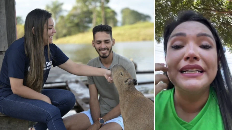 Capivara Filó: deputada afirma que animal está sendo maltratado