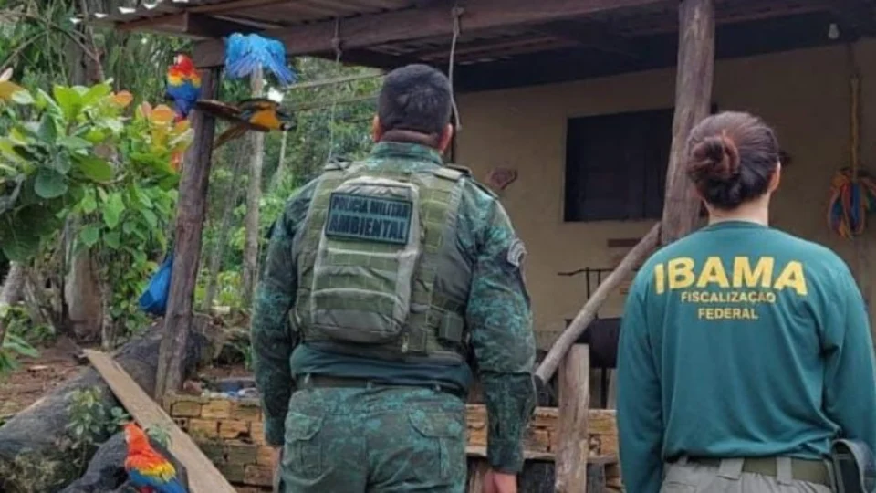 Animais silvestres utilizados como atração turística são resgatados no AM