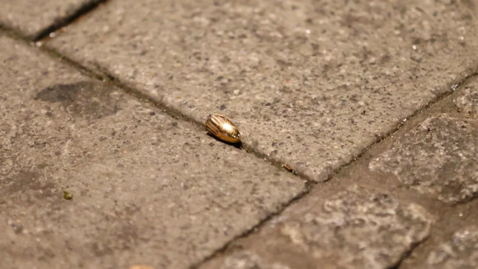 Jovem de 22 anos morre após ser atingido por bala perdida em Manaus