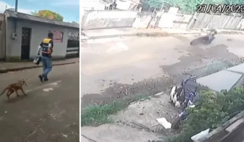 VÍDEO: mototaxista acorrenta cachorro e o arrasta por rua no AM