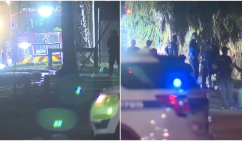 VÍDEO: polícia encontra corpo de menino de 2 anos em boca de jacaré nos EUA