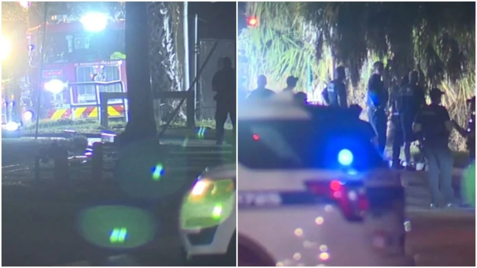 VÍDEO: polícia encontra corpo de menino de 2 anos em boca de jacaré nos EUA