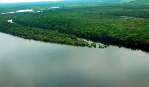 CPI das ONGs ouve diretor de Instituto de Pesquisa Ambiental da Amazônia