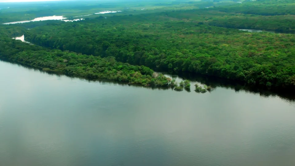 CPI das ONGs ouve diretor de Instituto de Pesquisa Ambiental da Amazônia