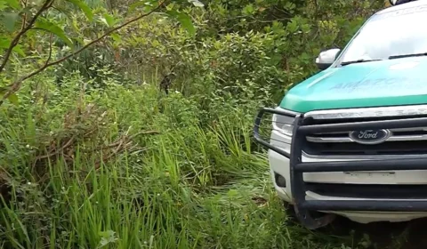 VÍDEO: corpo é encontrado em área de mata na Zona Oeste de Manaus