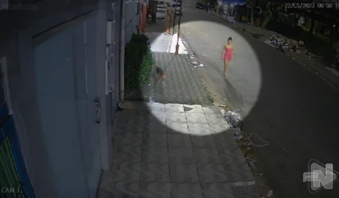 Vídeo: mulher esfaqueia cachorro no meio da rua na Zona Sul de Manaus