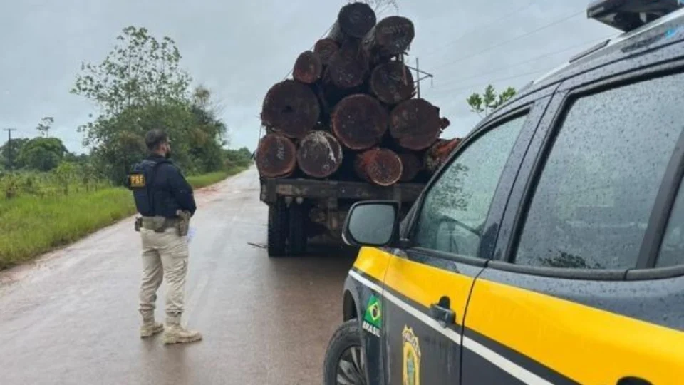 PRF flagra adolescente transportando madeira ilegal ao Sul de Roraima