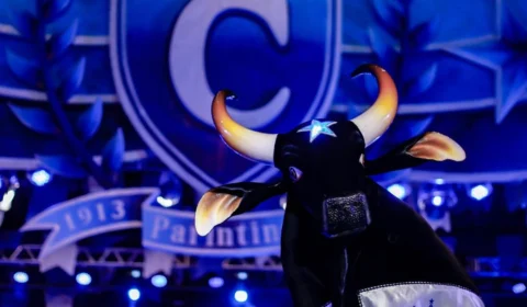 Conheça curiosidades do Boi Caprichoso