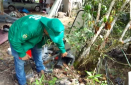 AM registra 8.018 casos de dengue entre janeiro e esta quinta, 4