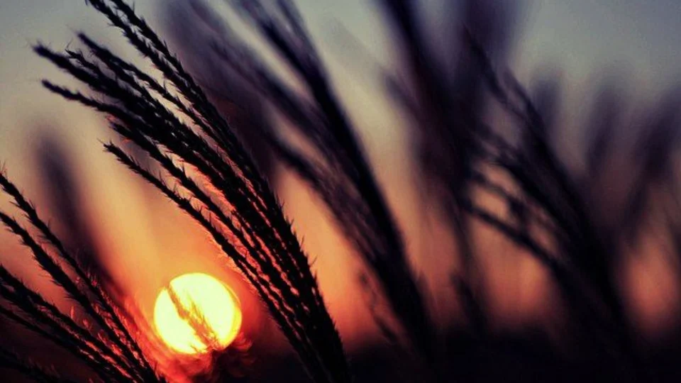 El Niño: OMM informa que fenômeno pode resultar em novos recordes de calor