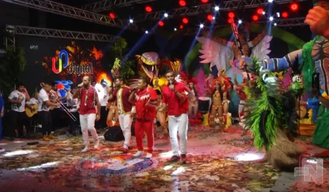 Festival Norte Bumbás: veja 6 letras de toadas de boi históricas no Amazonas