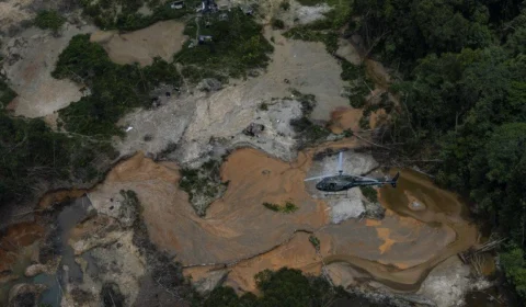 Yanomami: desmatamento causado por garimpo caiu 95% no território, diz Dino