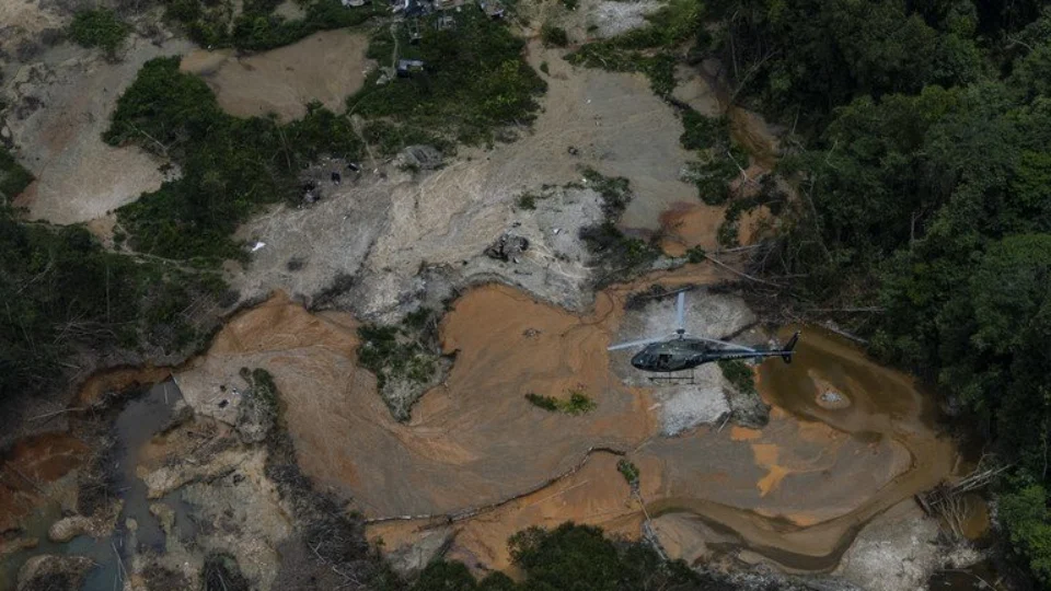 Yanomami: desmatamento causado por garimpo caiu 95% no território, diz Dino