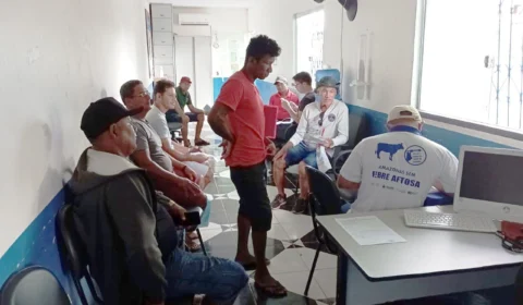 Adaf prorroga notificação da vacinação contra febre aftosa no Amazonas