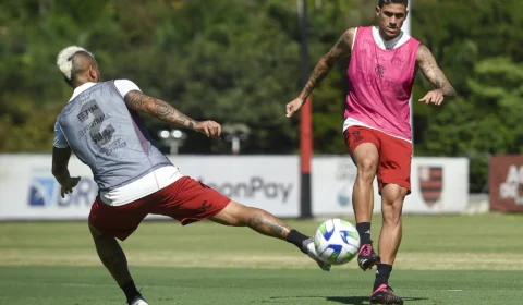 Brasileirão: Flamengo encara Goiás para tentar se livrar da zona de rebaixamento