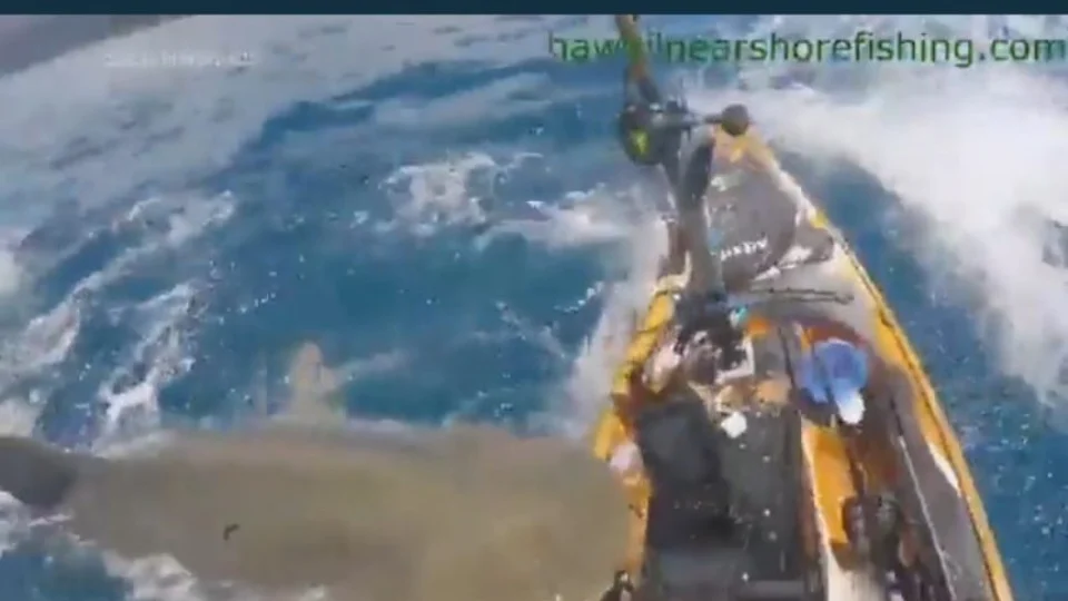 VÍDEO: ataque de tubarão é gravado por GoPro de pescador no Havaí, nos EUA