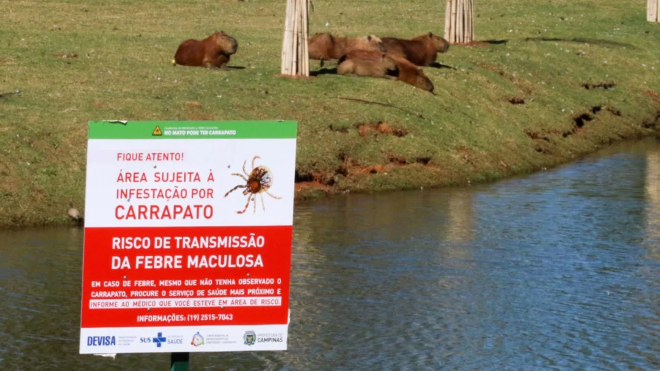 Febre maculosa: jovens de 23 e 24 anos morrem em Minas Gerais