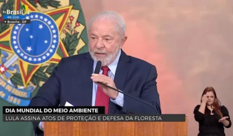 Governo federal sanciona medidas voltadas ao meio ambiente; confira