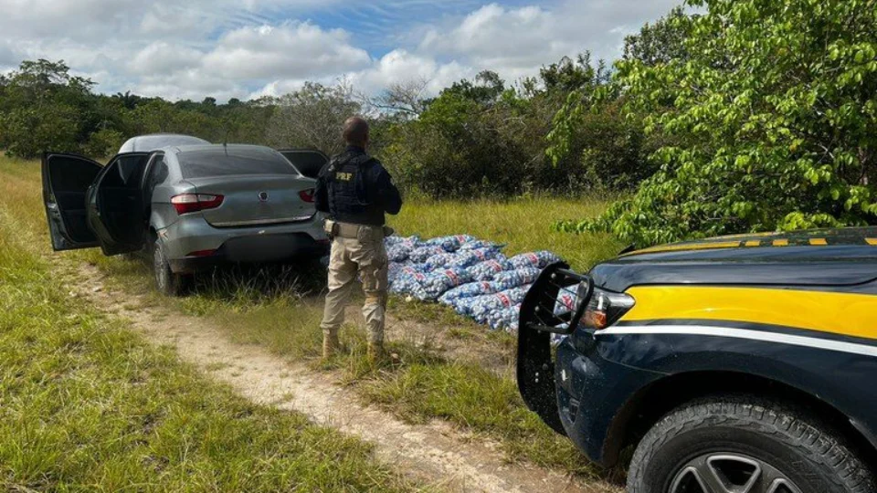 Após perseguição, polícia apreende 1 tonelada de alho de contrabando em RR