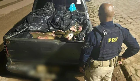 PRF flagra homens transportando 1 tonelada de peixe em Boa Vista-RR