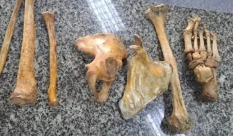 Comerciante é preso vendendo ossos humanos em barraca na Zona Norte do RJ