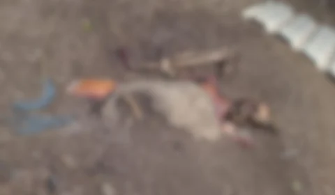 Corpos são encontrados em cova nos fundos de casa na Zona Leste de Manaus