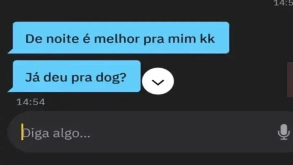 Dono de yorkshire é investigado por usar cão em sexo com homens no DF