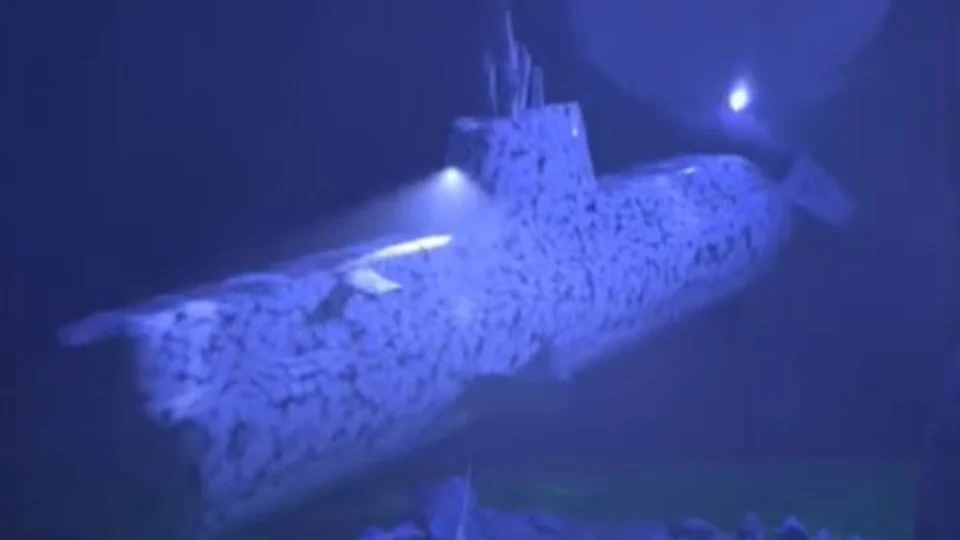 Vídeo viraliza e mostra como foi a implosão do submarino Titan; confira