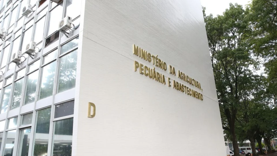 Gripe aviária em Minas Gerais não é grave, diz Mapa; há 19 casos confirmados