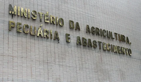 Gripe aviária: governo confirma novo caso e registros sobem para 31