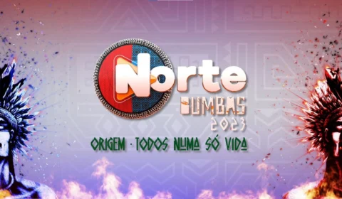 Festival Norte Bumbás realiza ensaio final para evento em Manaus