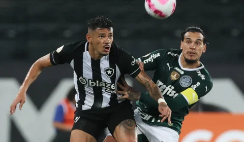 Brasileirão: Palmeiras e Botafogo se enfrentam neste domingo, 25