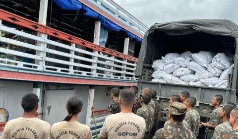 PF apreende cerca de 19 toneladas de pescado ilegal em Tabatinga-AM