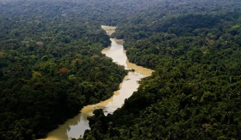 Governo cria grupo para combater criminalidade no Vale do Javari, no Amazonas