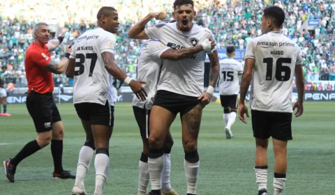 Tiquinho Soares decide, Botafogo vence o Palmeiras e amplia vantagem na liderança
