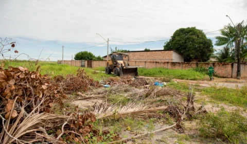 14 toneladas de lixo são recolhidas de locais impróprios em Boa Vista