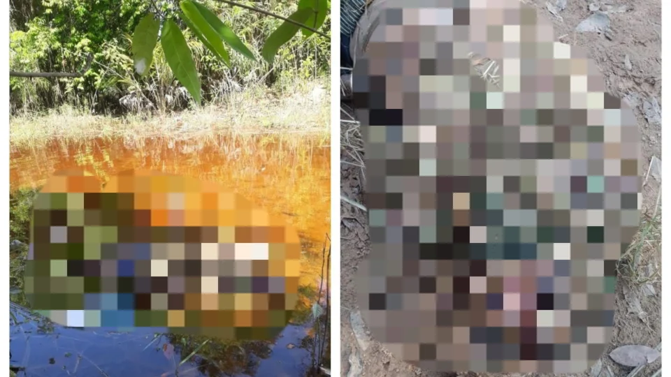 Com marcas de tortura, corpo de mulher é encontrado em ramal da AM-070