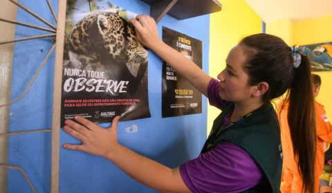 Campanha ressalta importância de proteção aos animais no turismo no AM