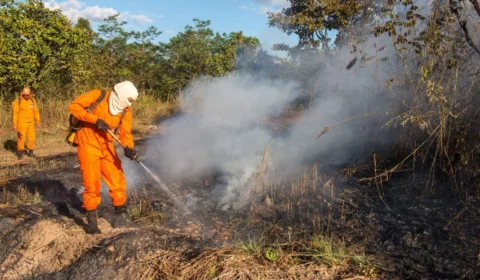 Aumento de brigadistas fortalecem combate às queimadas em Palmas-TO