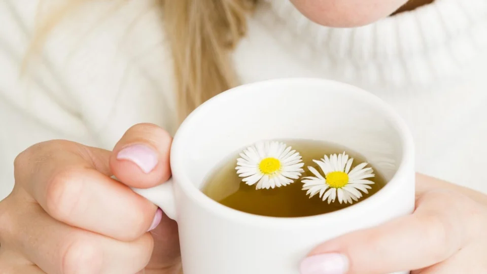 Confira três chás de ervas naturais bons para saúde de acordo com pesquisa