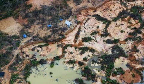 MPF registrou 79 denúncias de garimpo no 1º semestre de 2023 em RR