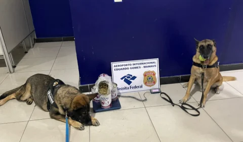 Mulher é presa com 4,4 kg de ‘super maconha’ em aeroporto de Manaus