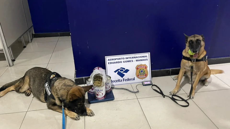 Mulher é presa com 4,4 kg de ‘super maconha’ em aeroporto de Manaus