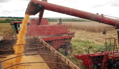 Investimentos na agropecuária são elevados em 50%, divulga BNDES