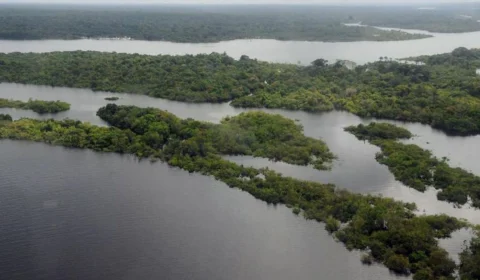 Amazônia é tema de reunião entre presidentes do Brasil e da Colômbia