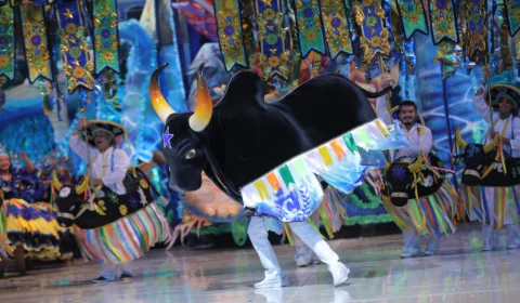 Boi Caprichoso é campeão do 56º Festival Folclórico de Parintins-AM