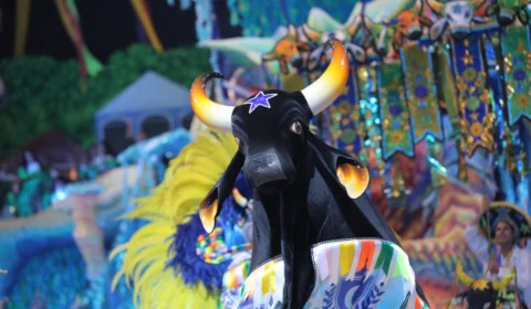 Caprichoso ensaia em Manaus neste sábado, 6; confira atrações