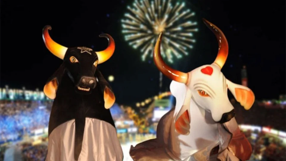 Empresa oferta par de ingressos para o Festival de Parintins; confira valor