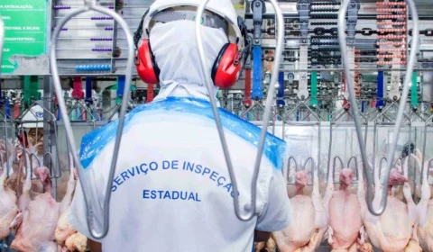 Casos de gripe aviária sobem e Tocantins decreta emergência zoossanitária