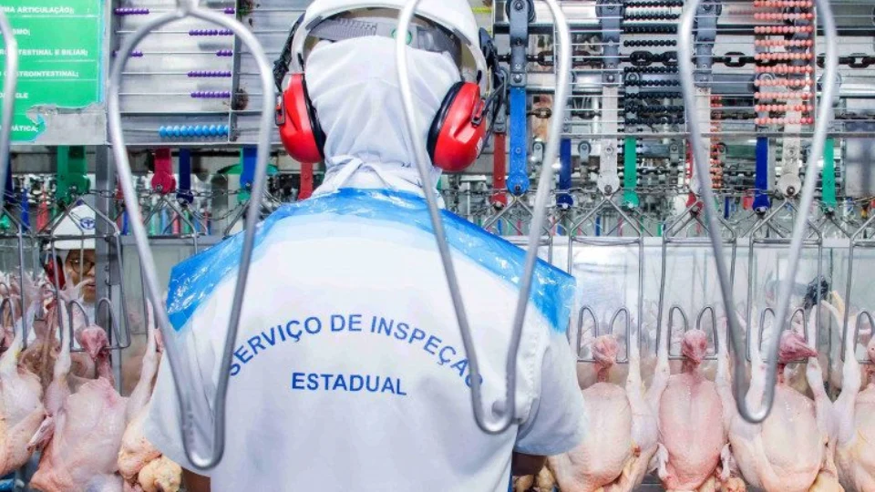 Casos de gripe aviária sobem e Tocantins decreta emergência zoossanitária